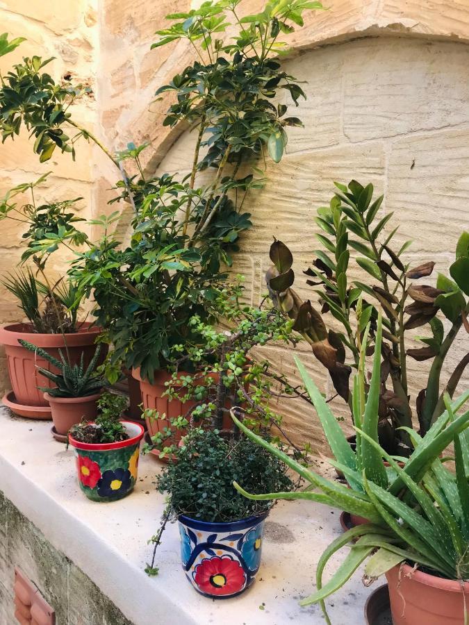 250 Yo Tal-Bambinu Boutique Farmhouse ซากฮรา ภายนอก รูปภาพ